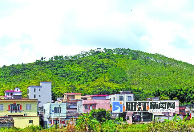 阳江新闻 正文 本报记者/刘再扬 在阳西县程村镇厚幕山,根竹山,蚝山