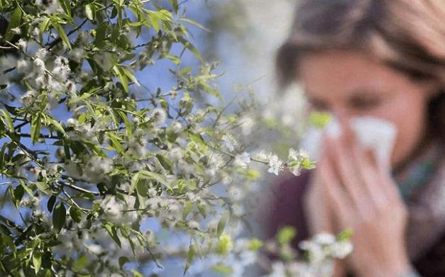 春季花粉过敏，如何应对？