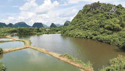 潭水镇凤来村:山水绘画卷 古村换新颜