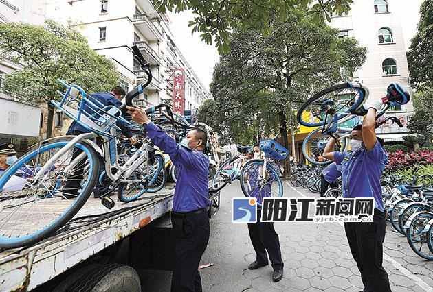 执法人员在市区南恩路暂扣占用公共道路无序摆放的共享单车.