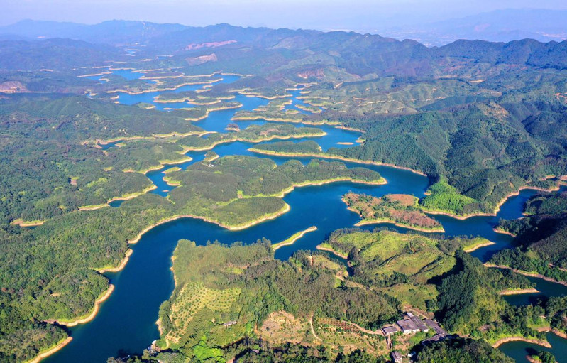 花滩林场地处阳春大河水库核心段水源保护区,肩负着阳江地区100多万