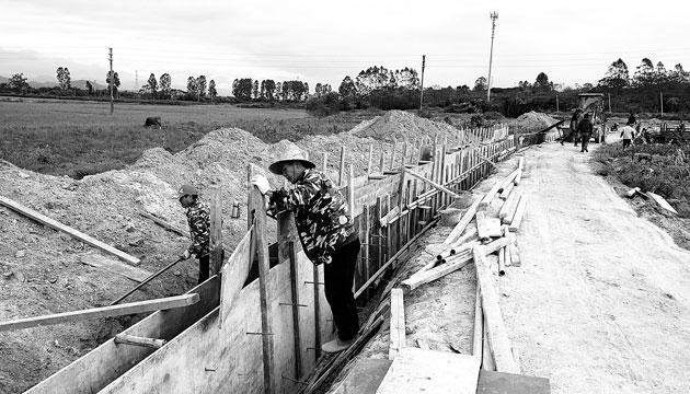 阳江19个高标准农田项目全部开工建设