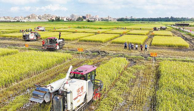 广东省夏收水稻机收减损技能大比武活动在阳江市举行