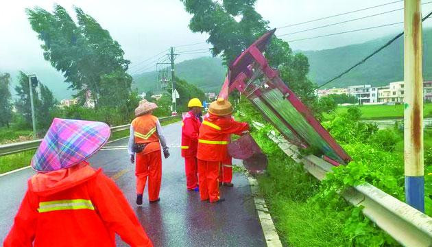 交通部门连夜作战：迅速行动清除国省道倒伏树木