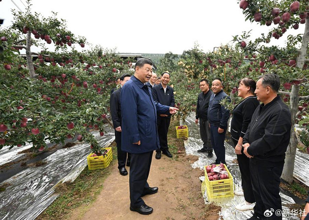 习近平：乡村振兴要靠产业，各地要各展其长