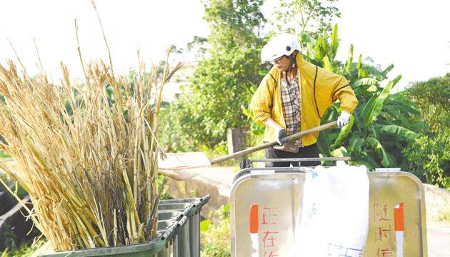 阳江阳春：小小“村企”能量大 鼓了村民“钱袋子”