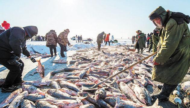 查干湖冬捕：零下20℃收获传奇