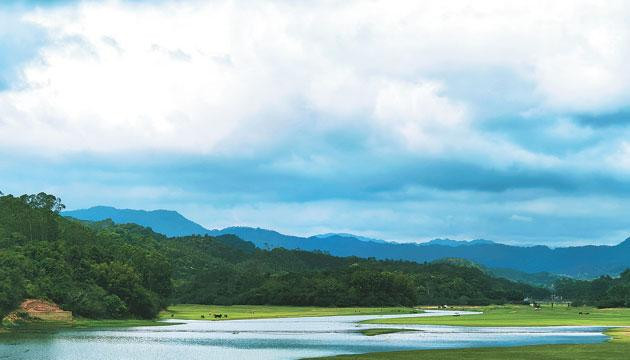 探秘《长安的荔枝》中的阳江山水画卷