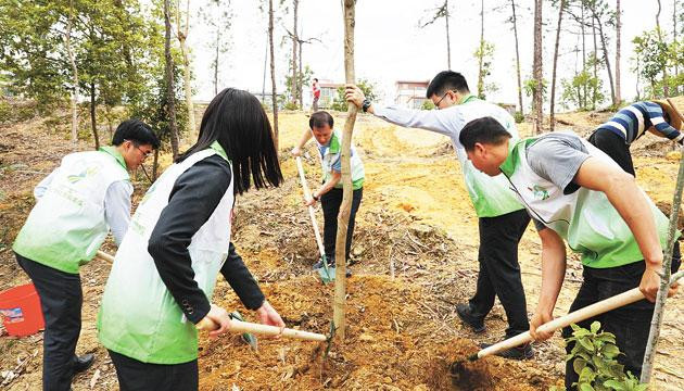 农行阳江分行参与“绿美阳江 青年先行”植树活动