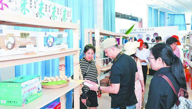2025年阳江日报通讯员采风活动走进阳东