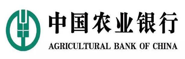 农行阳江分行发挥年轻人力量绘金融强国画卷
