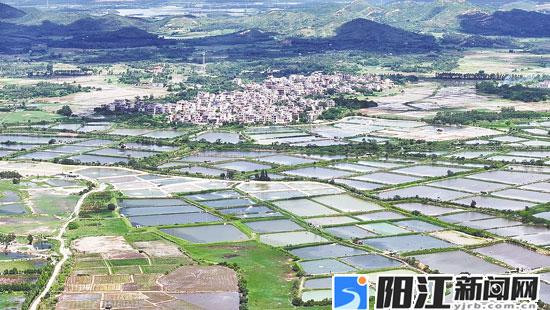 上洋镇积极发挥临海优势，走出多元融合渔业发展致富路