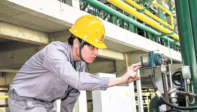 以技能为“马”逐人生梦