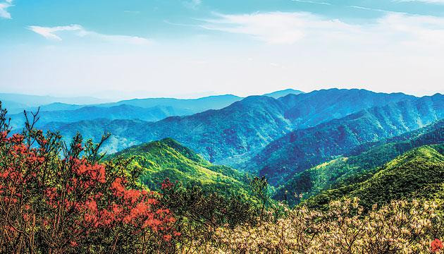 通往车八岭的路