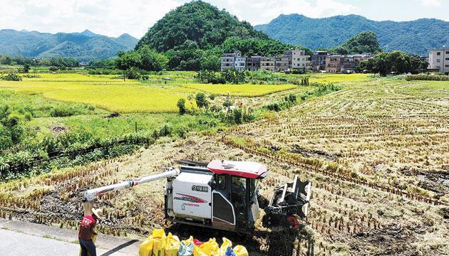 闲置地变广场  幸福指数提升