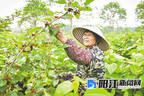 瓜果飘香