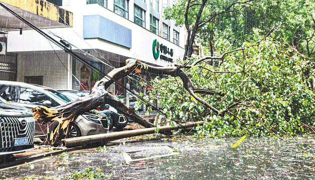 江城遭遇雷暴及10级短时大风