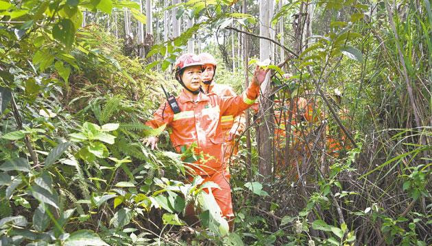 阳江绿海守山人