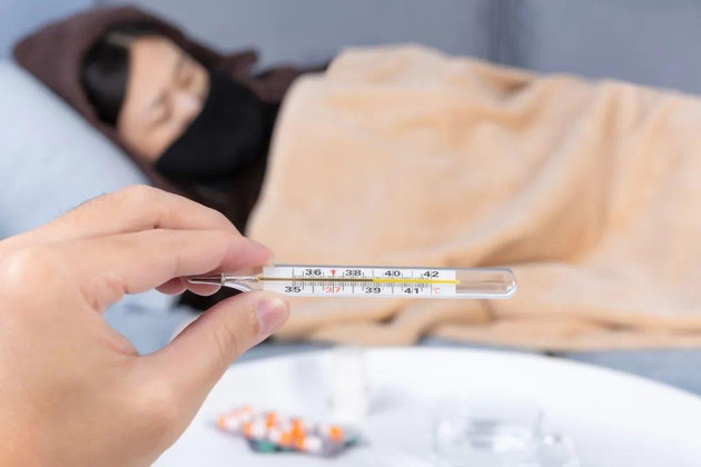 基孔肯雅热来袭：科学防蚊与易感人群全解析
