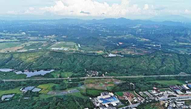 阳江阳东：“青山”变“金山” 每亩租金涨10倍