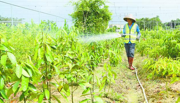 海陵试验区以综合改革成效助力“百千万工程”
