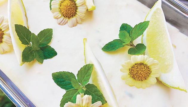 轻享柠檬“食”光