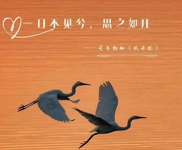 古人笔下的“我爱你”，唯美又浪漫！