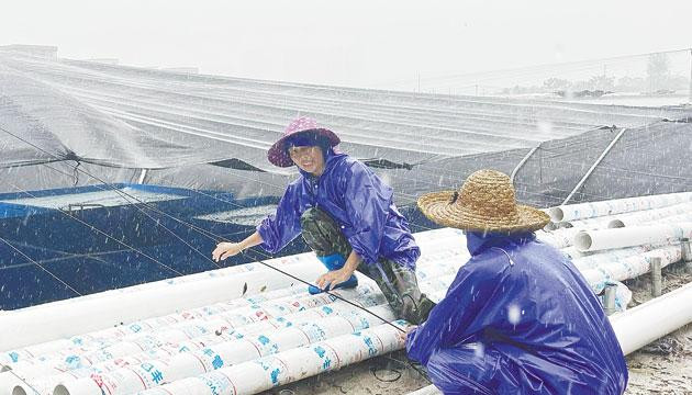 狂风暴雨中的坚守与担当