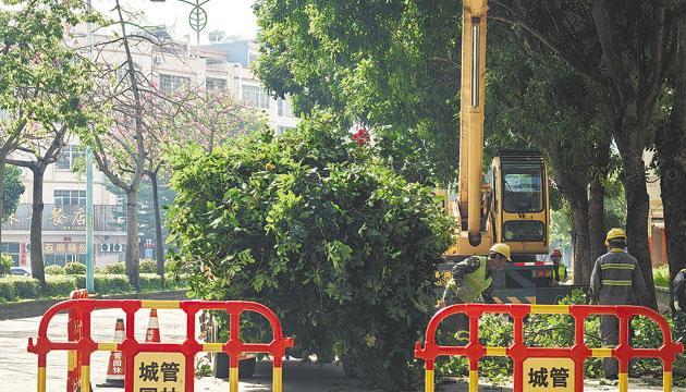 台风“米娜”生成 周末又要“泡汤”