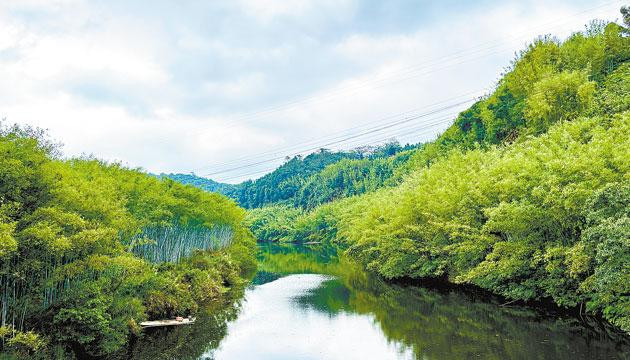 圭岗翠竹