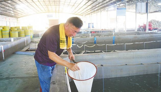 蚝苗基地争分夺秒抢“生机”——阳西渔业救灾复产见闻