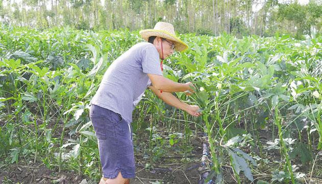政企合力田头挽损  昼夜复产“抢救”作物