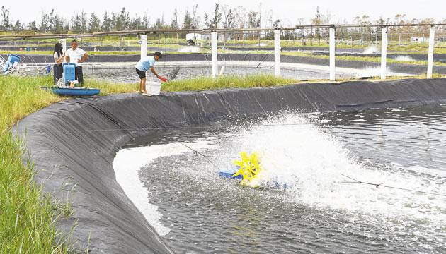 大沟镇2.7万亩水产养殖重启“生机”
