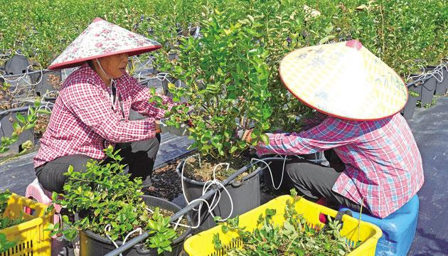 工人铆足干劲  复产开足马力