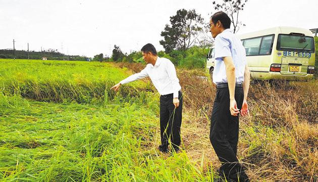 工行阳江分行全力助受灾企业复工复产