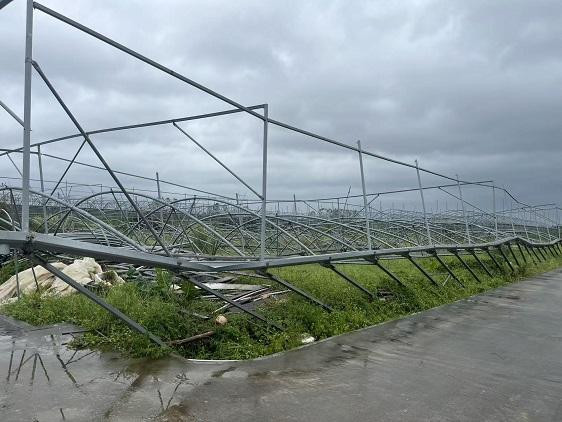 广发银行阳江分行发放灾后重建贷款，多措并举护航灾后复工复产