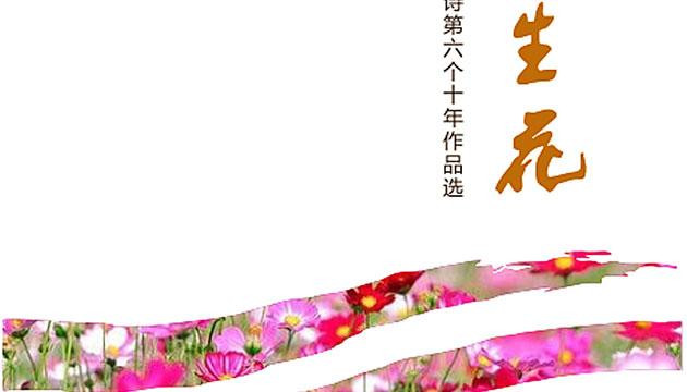 词语的琥珀