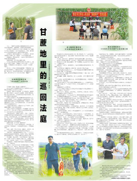 粤桂琼主流媒体联盟·崇左