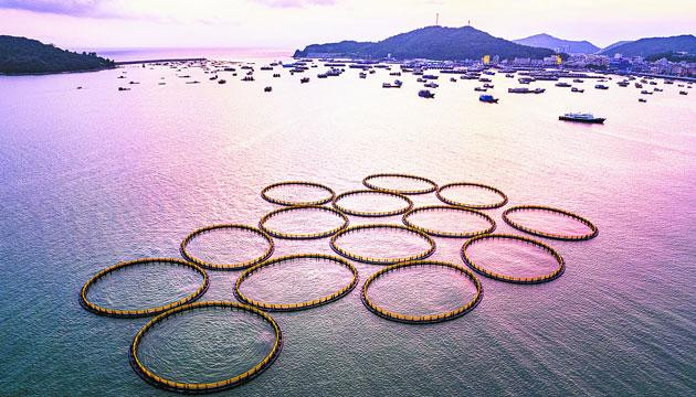 定格阳江的线条美