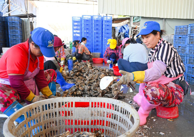 『中国蚝乡』蚝正香