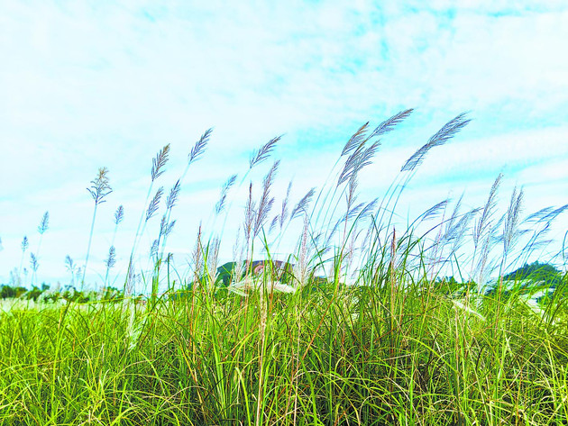 风记得，我们不说