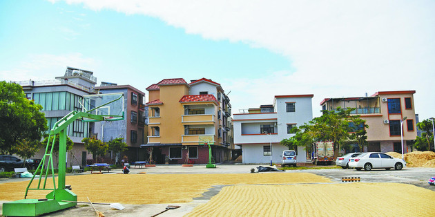 新风荡漾站背村