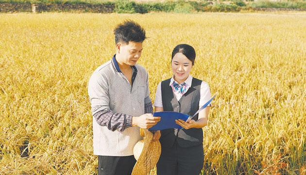 农行阳江分行金融活水润泽田野