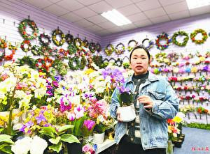 过万种仿真植物漂洋过海“点缀世界”