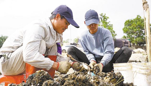 锻造“鲜味”产业链 激活发展新引擎