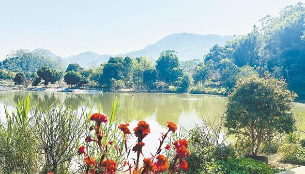 山中间村赏梅记