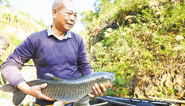 乡土好味“融”出产业发展新图景