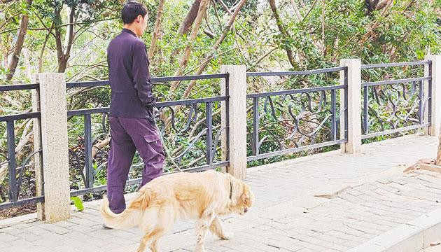 市区公园小区仍有“无绳遛狗”