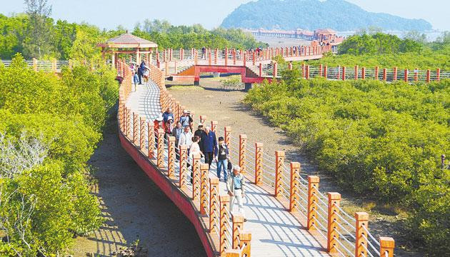 闸坡镇四条风貌带提质增颜成“景观串联线”