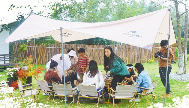 阳江采摘园：从摘个新鲜到玩个尽兴